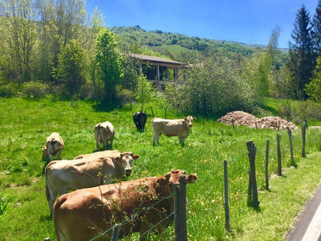 Hotel Monte Baldo 브렌조네 술 가르다 외부 사진